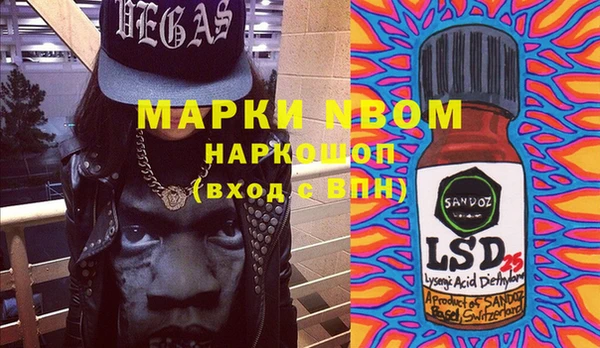 ПСИЛОЦИБИНОВЫЕ ГРИБЫ Кодинск