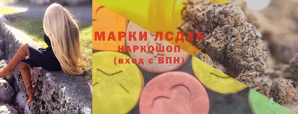 ПСИЛОЦИБИНОВЫЕ ГРИБЫ Кодинск