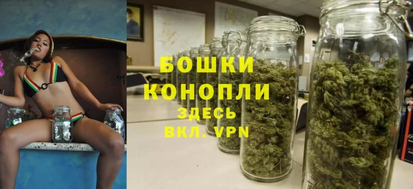 ГАЛЛЮЦИНОГЕННЫЕ ГРИБЫ Костерёво