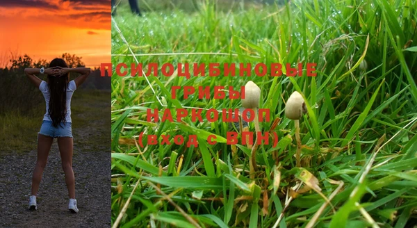 ПСИЛОЦИБИНОВЫЕ ГРИБЫ Кодинск