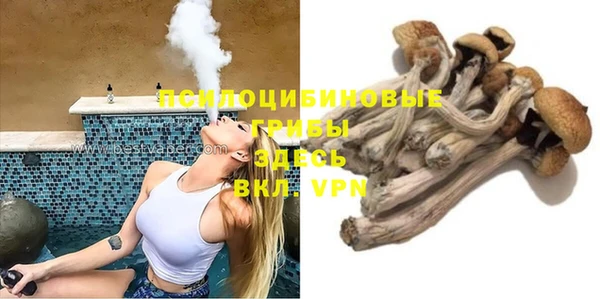 ECSTASY Корсаков