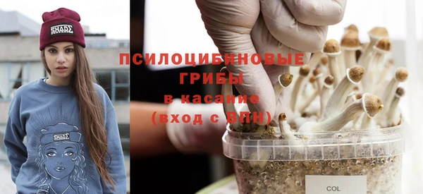 гидропоника Козельск