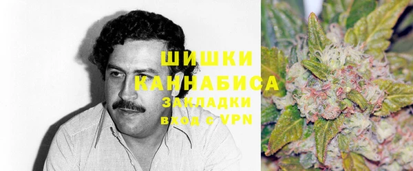 ПСИЛОЦИБИНОВЫЕ ГРИБЫ Кодинск