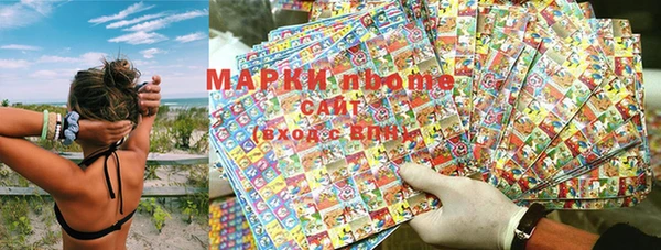 ПСИЛОЦИБИНОВЫЕ ГРИБЫ Кодинск