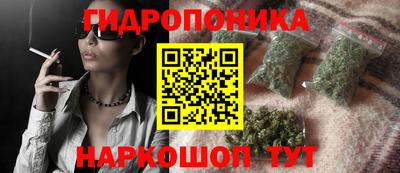 прущие крисы Дубна