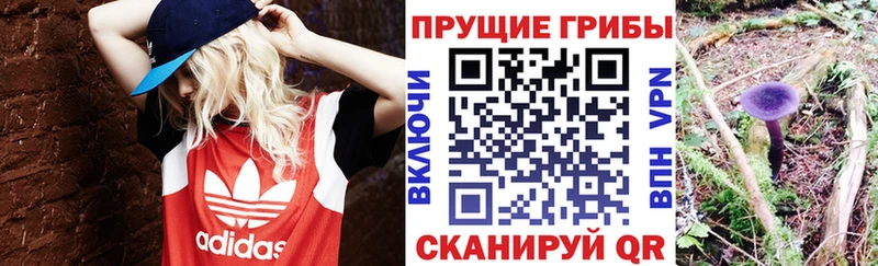 Галлюциногенные грибы мицелий  Ярцево 
